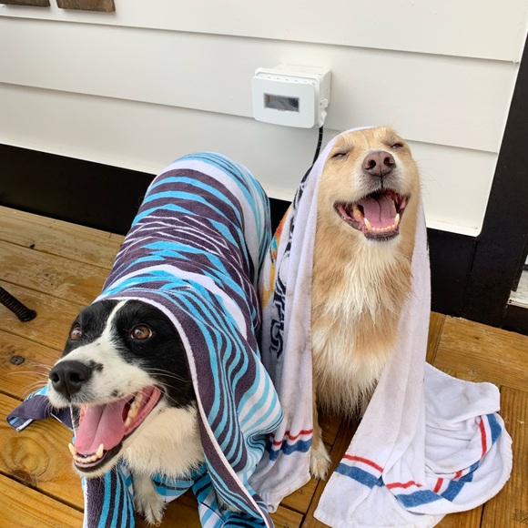 Meet your Posher, River! - Picture 7 of 16